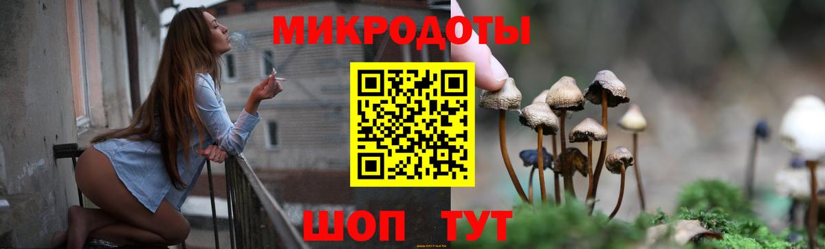 Псилоцибиновые грибы Cubensis Череповец